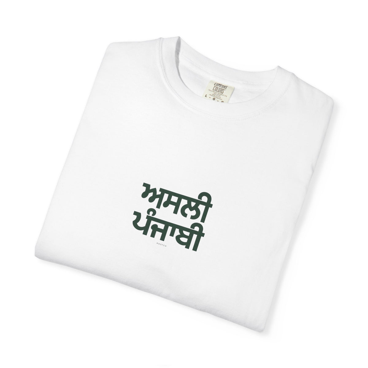 Asli Punjabi — Rooted White Garment-Dyed T-Shirt